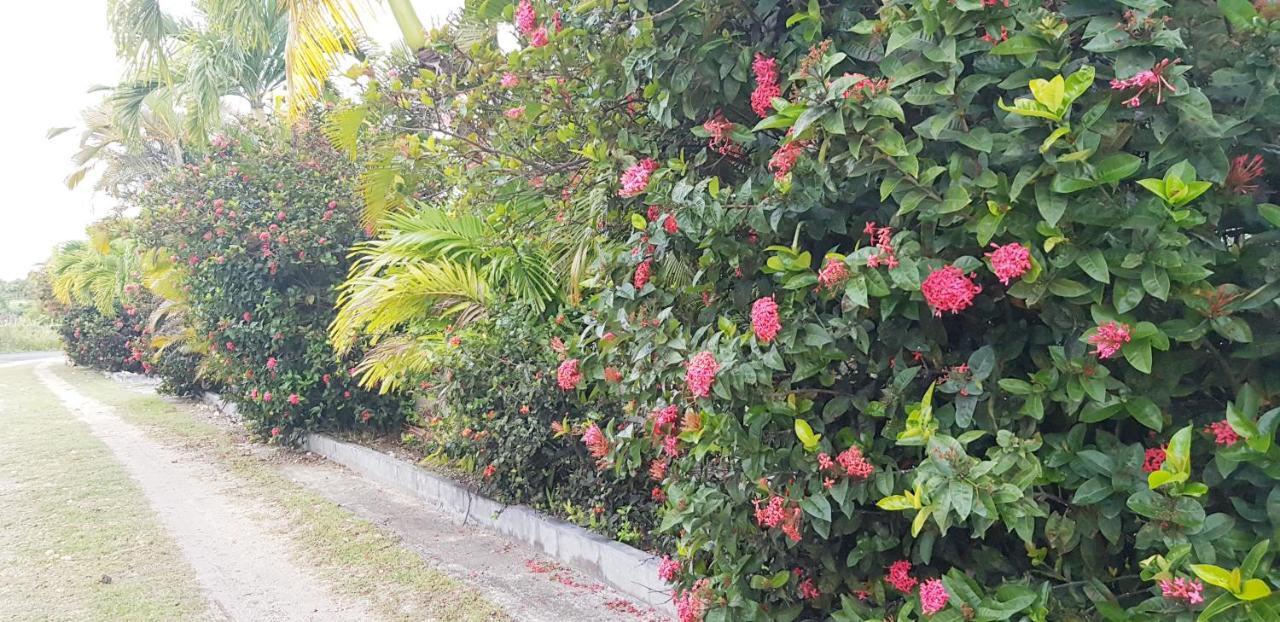 La Belle Creole Vila Sainte-Anne  Exterior foto